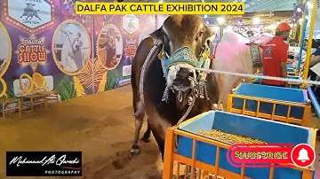 Delfa Pak Cattle Show 2024 | My 1st Vlog Part-1